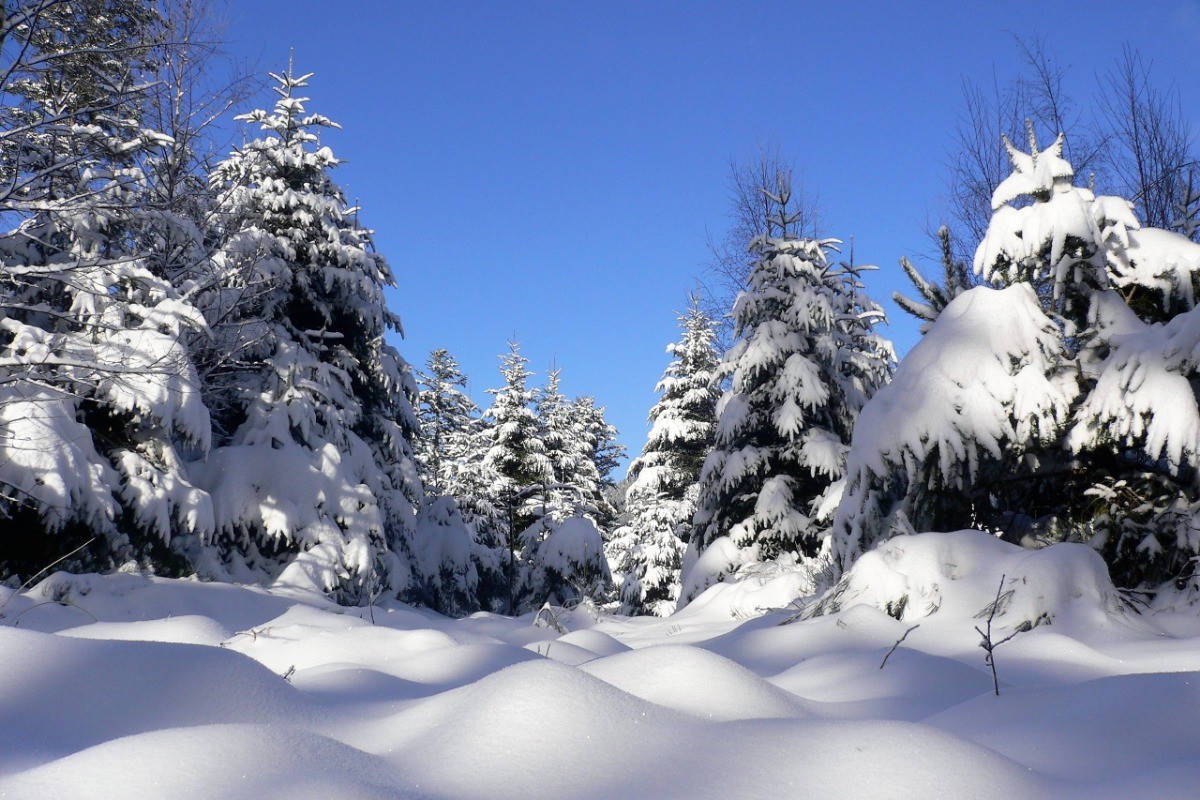 Chalet au Pied du Kemberg - hiver - Vosges - randonnée raquette