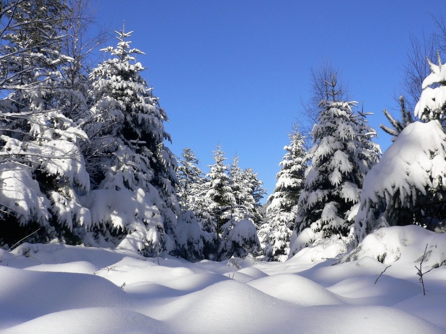 Chalet au Pied du Kemberg - hiver - Vosges - randonnée raquette