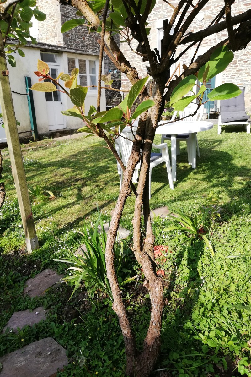 Laverie partagée