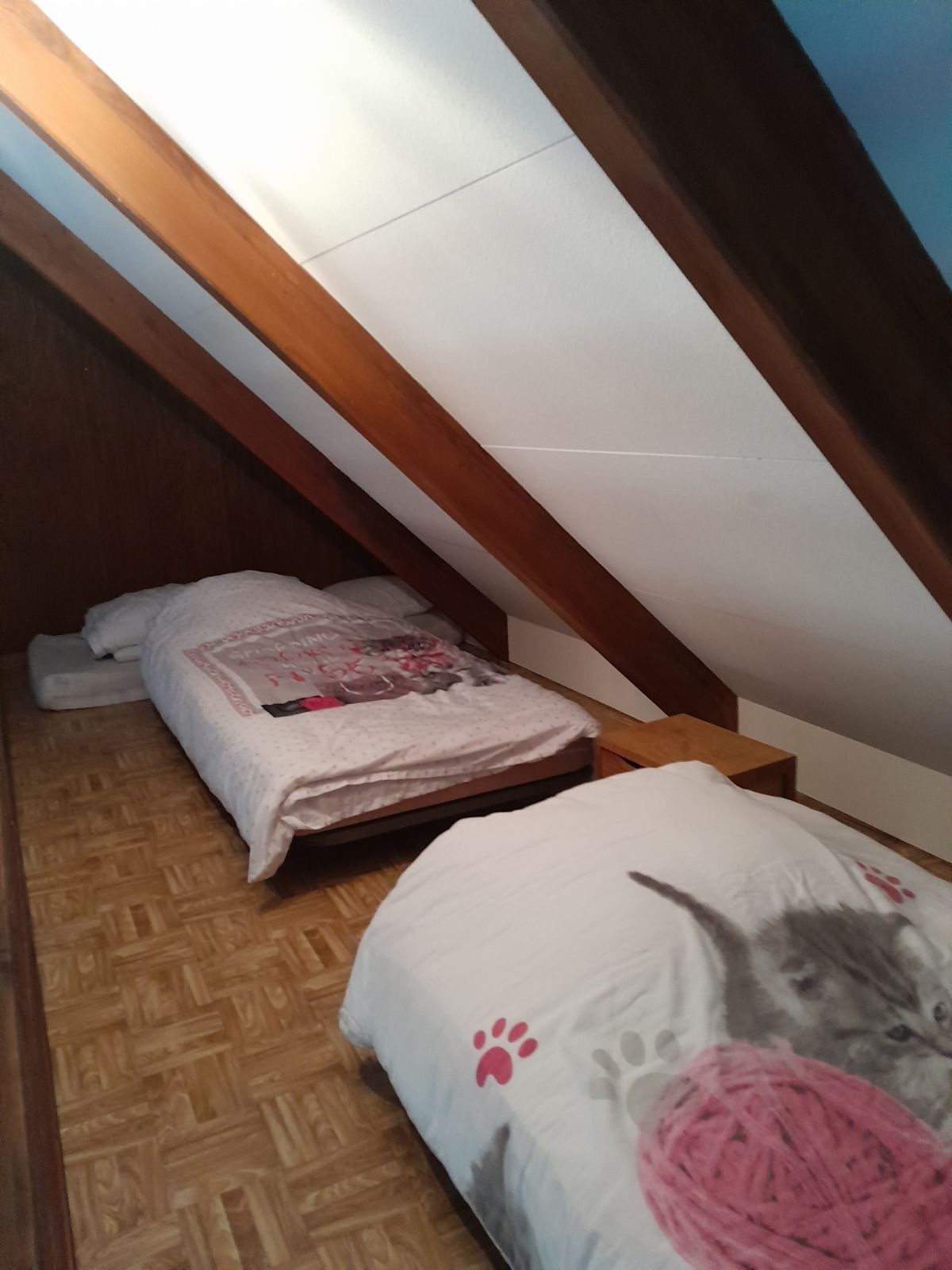 Photo n° 6 de la location