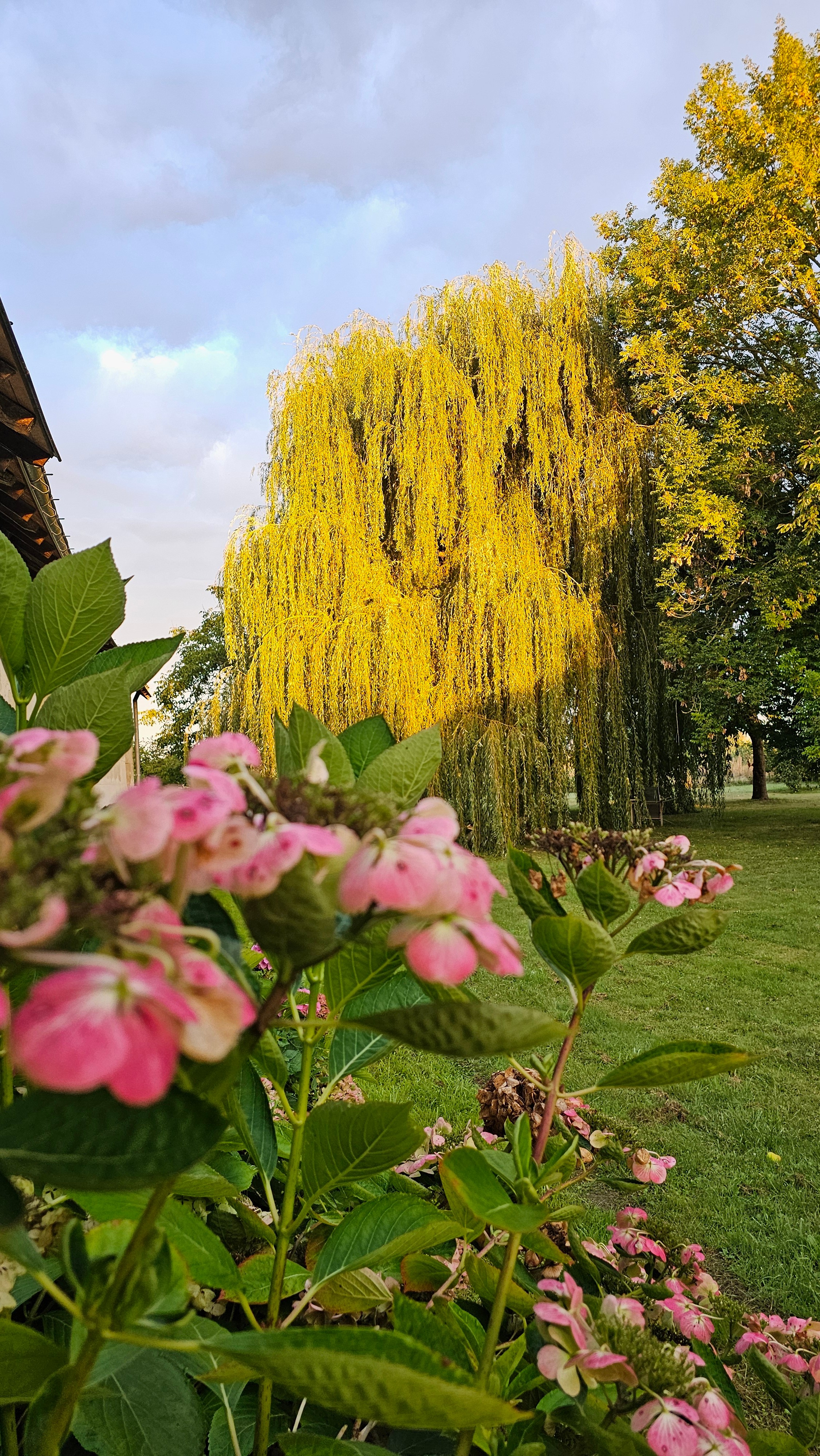 Jardin