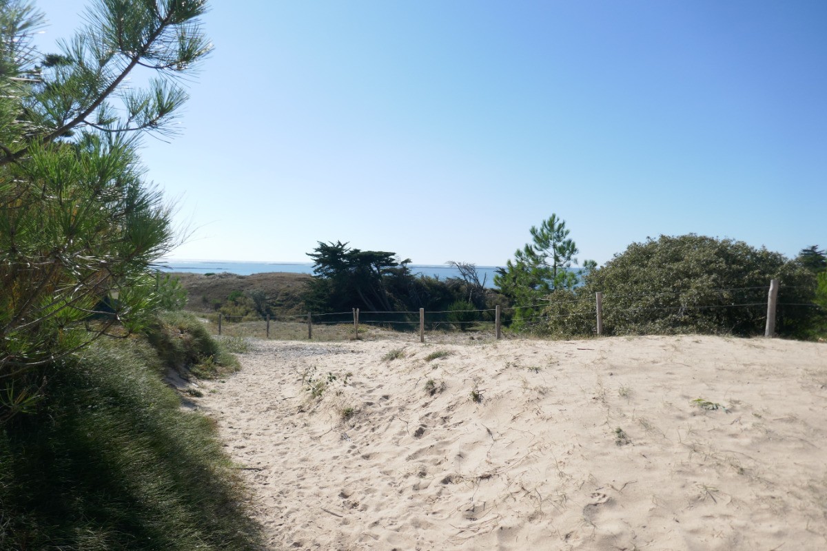 Dunes - accès direct à la plage