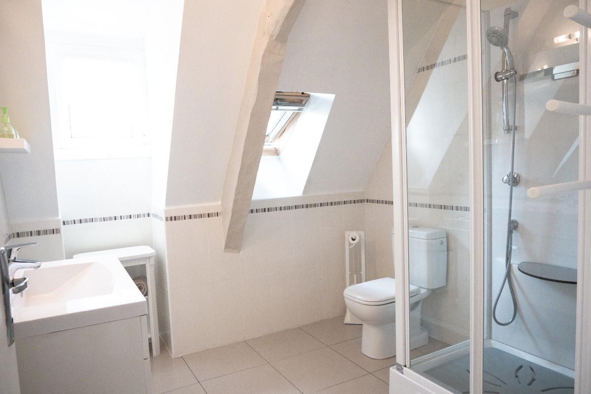 salle d'eau avec toilette et meuble vasque+douche