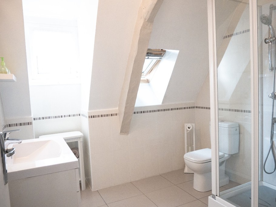 salle d'eau avec toilette et meuble vasque+douche