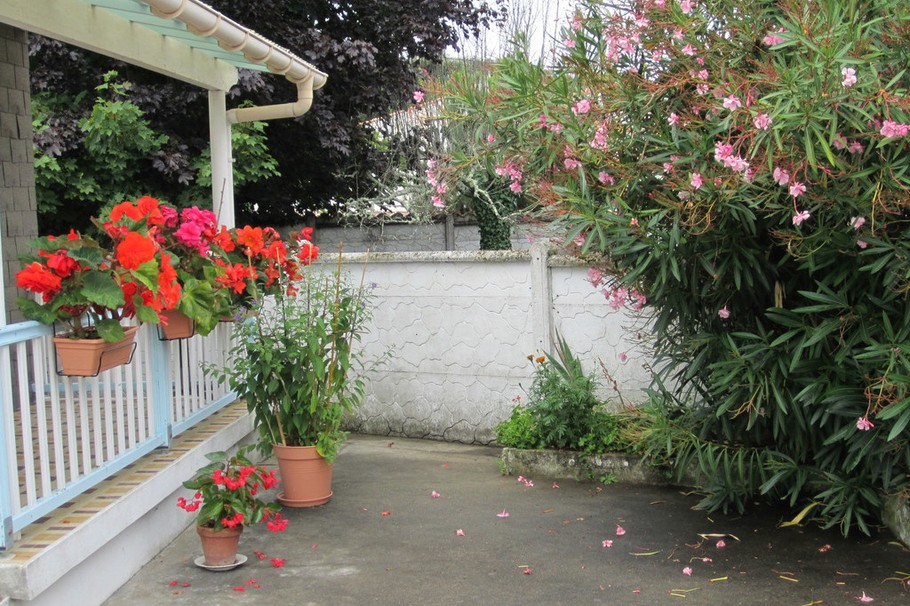 Photo n° 11 de la location