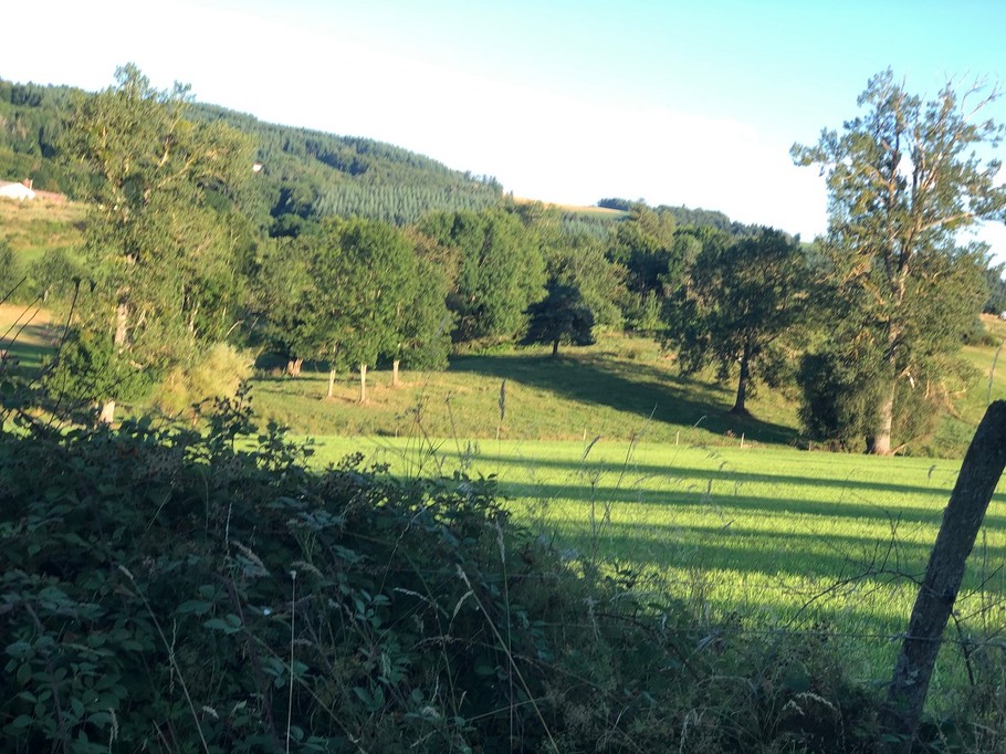 Photo n° 15 de la location