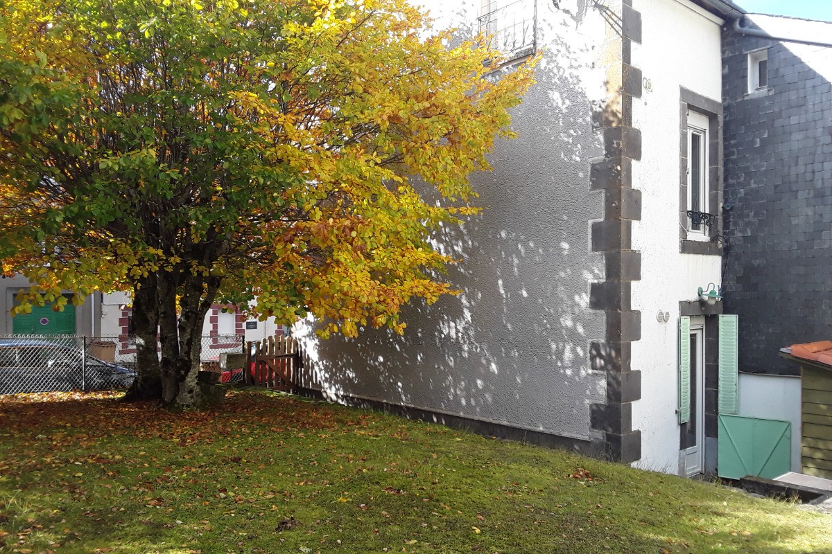 jardin automne