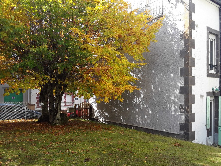 jardin automne