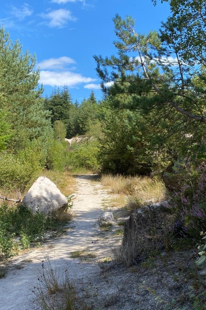 Photo n° 20 de la location