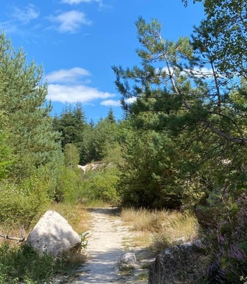 Photo n° 20 of the location