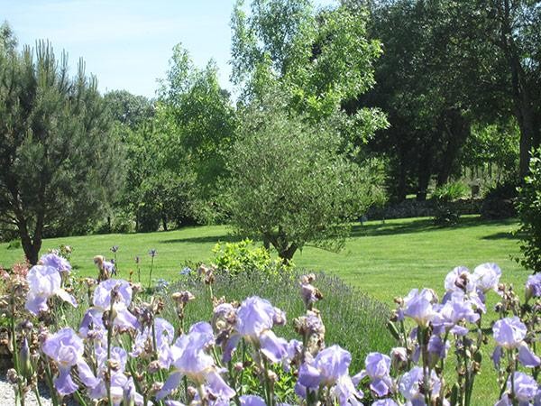 Jardin fleuri  - Vivier Les Montagnes - Tarn -
