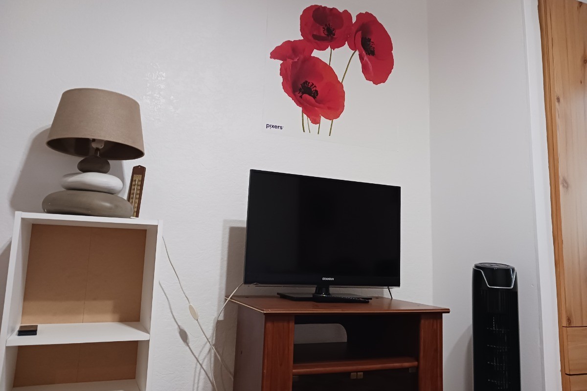 TV