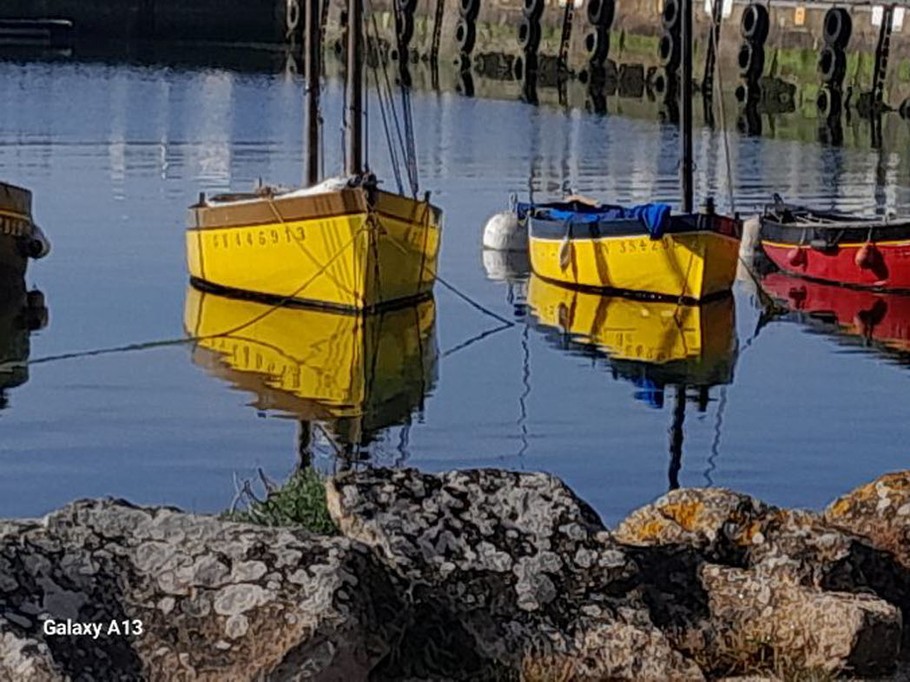 Port de Lesconil 50m