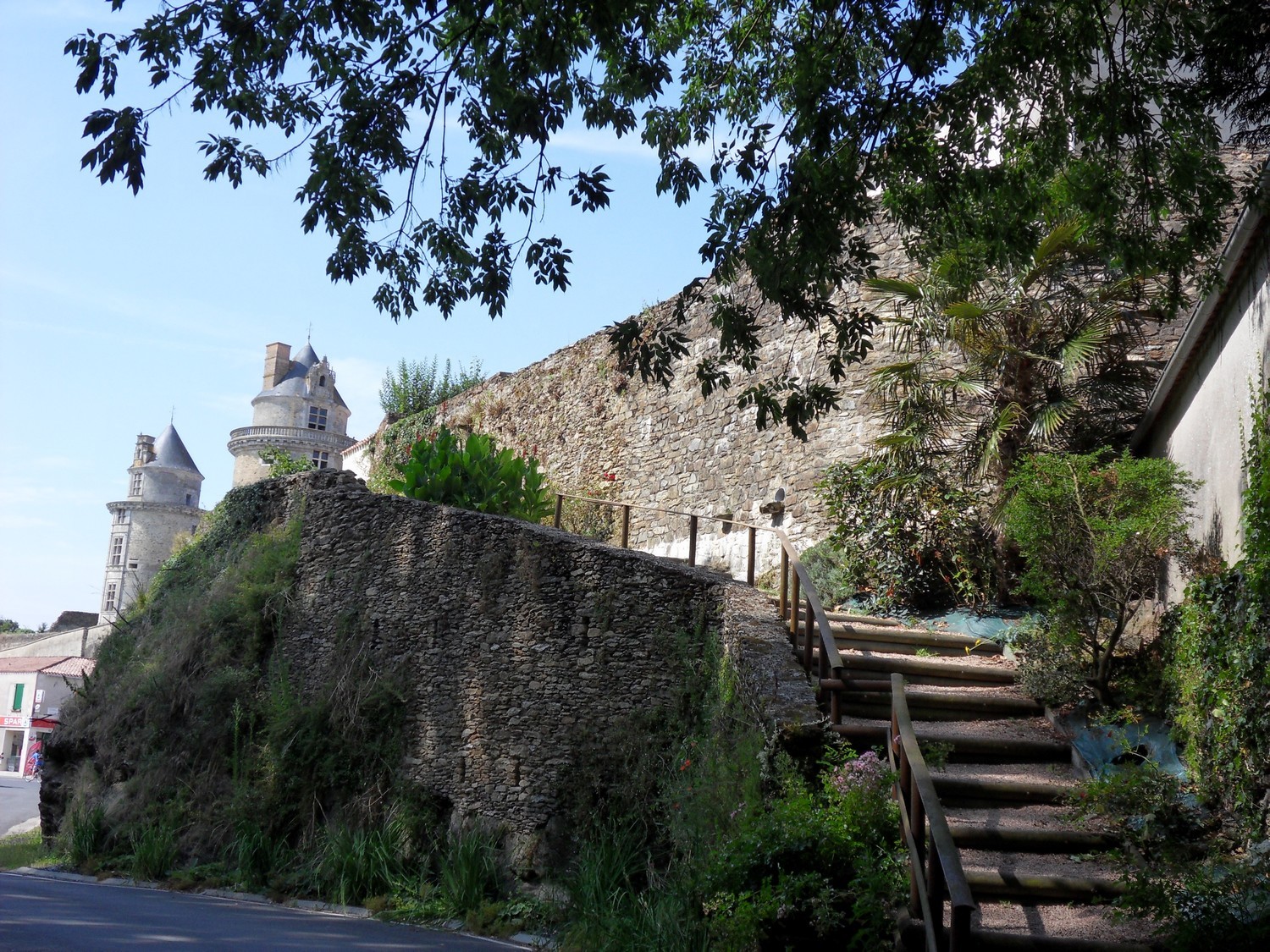 Photo n° 12 de la location