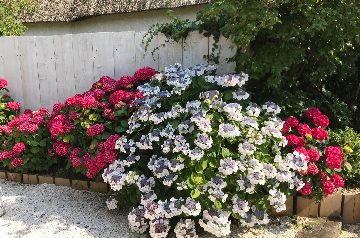 Le jardin de la chaumière Anouck
