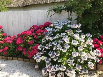 Le jardin de la chaumière Anouck