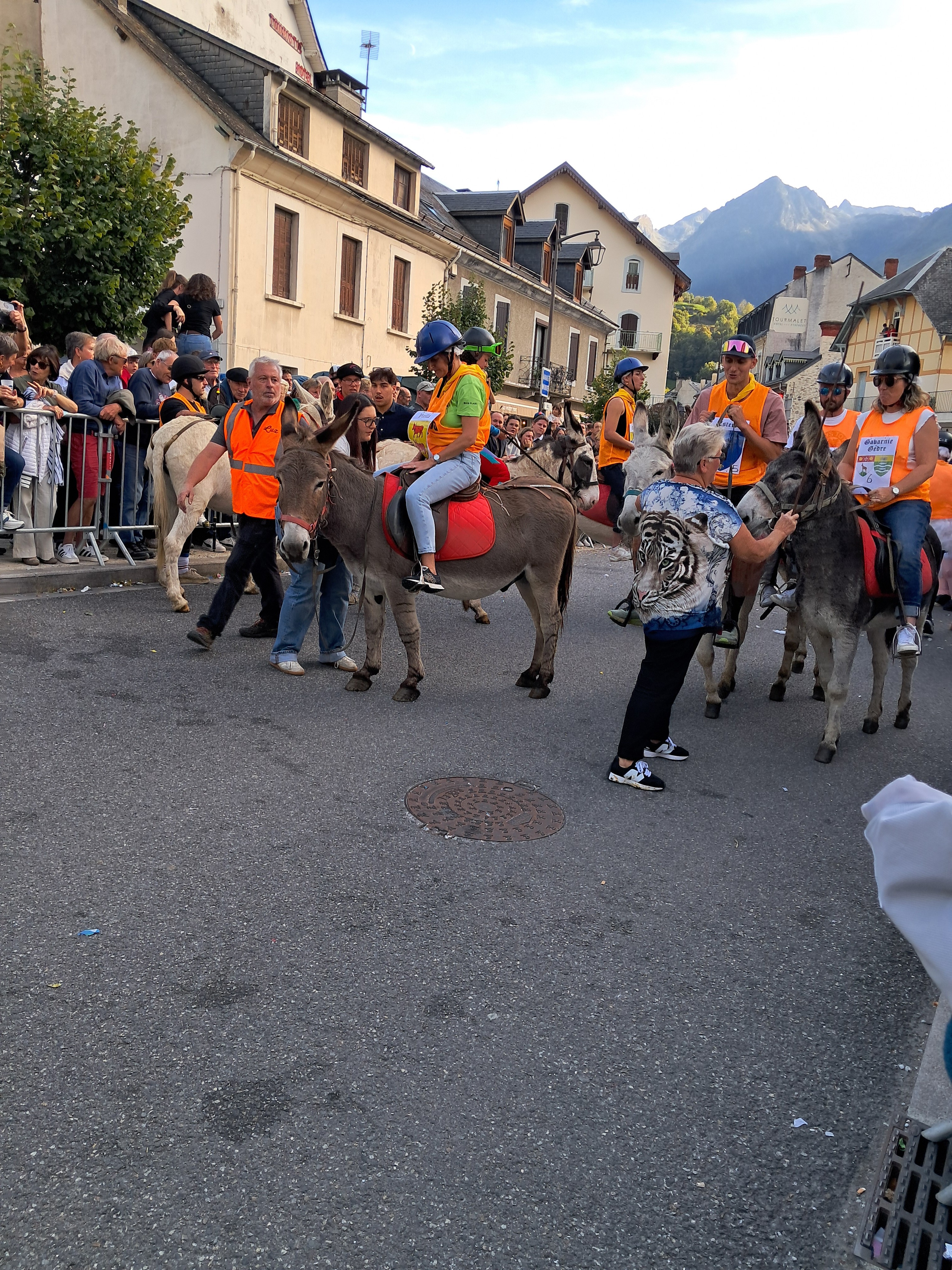 race aux anes fête cotelette