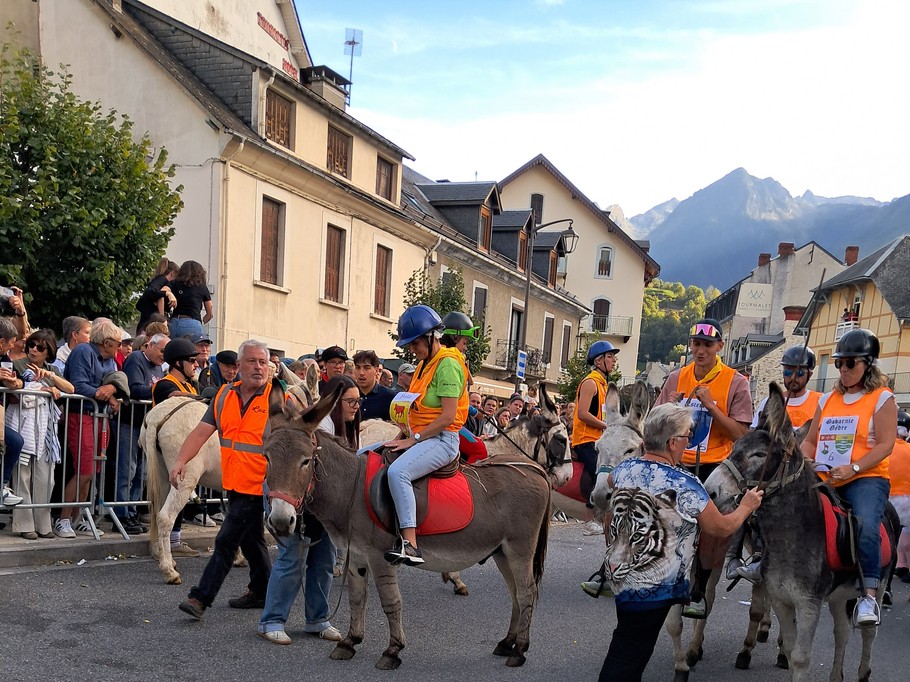 race aux anes fête cotelette