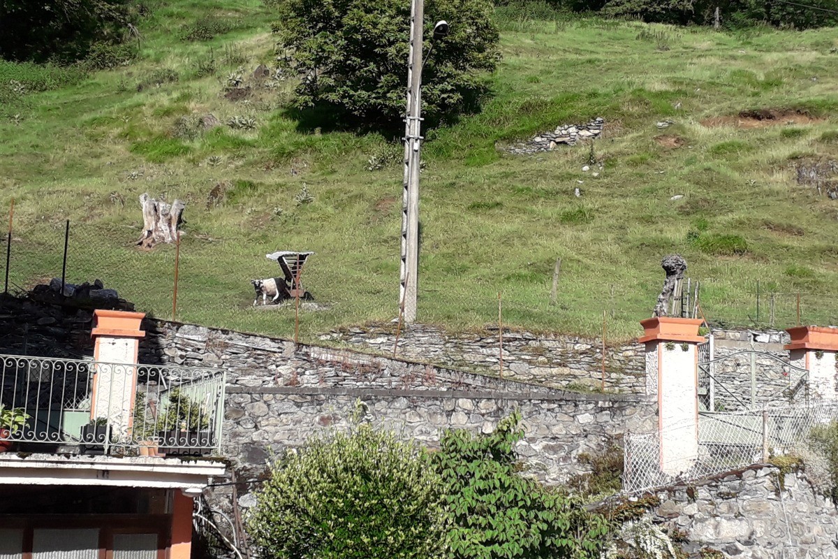 Vue depuis la chambre