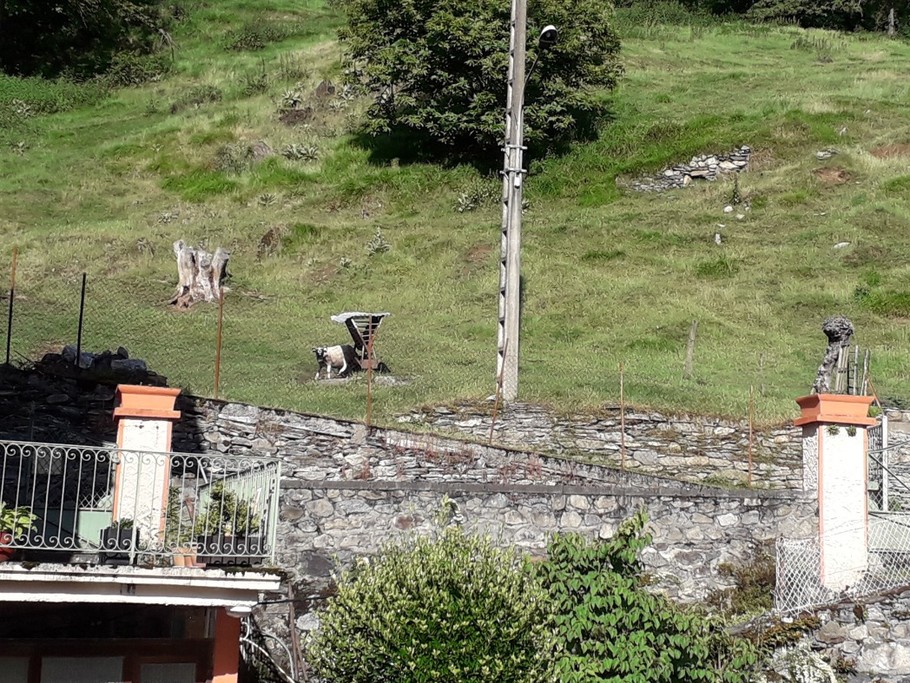 Vue depuis la chambre