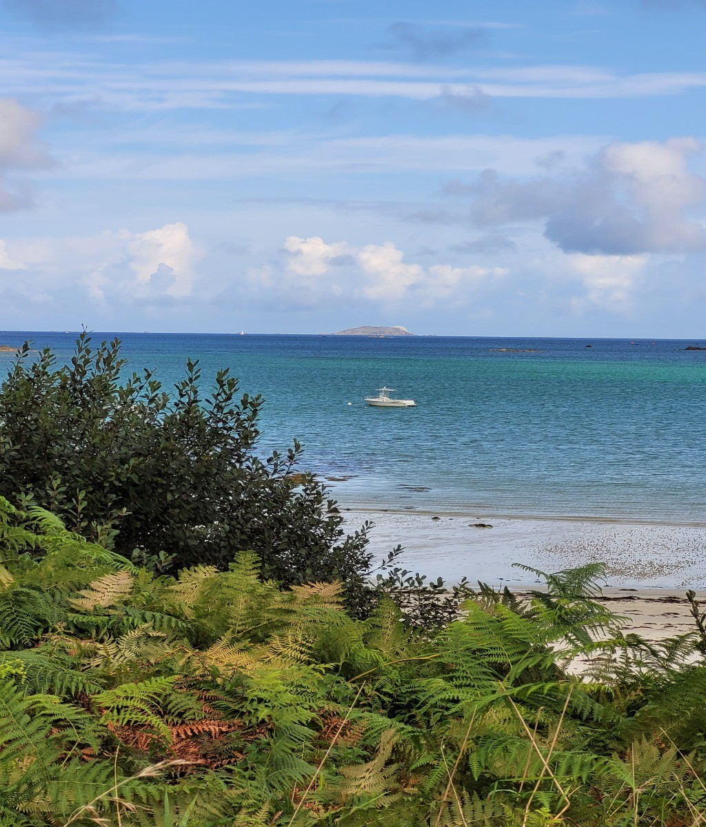 Photo n° 20 de la location