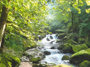 Abbaye de Saint Rambert en Bugey - Le Bugey et ses trésors naturels