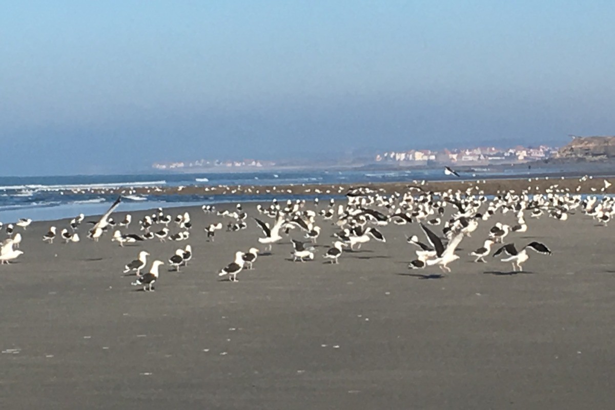 SANDY BEACH AS FAR AS THE EYE CAN SEE