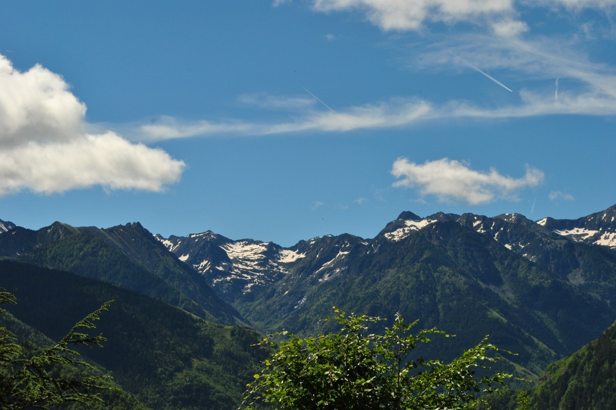 vue depuis le balcon en juin