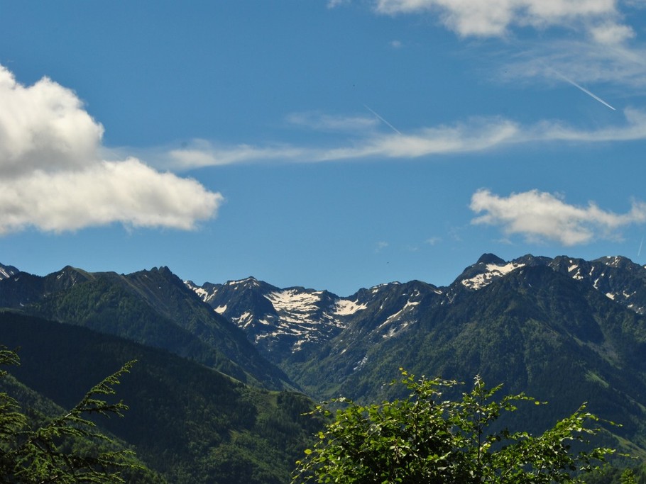 vue depuis le balcon en juin