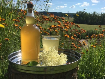 Taste of spring