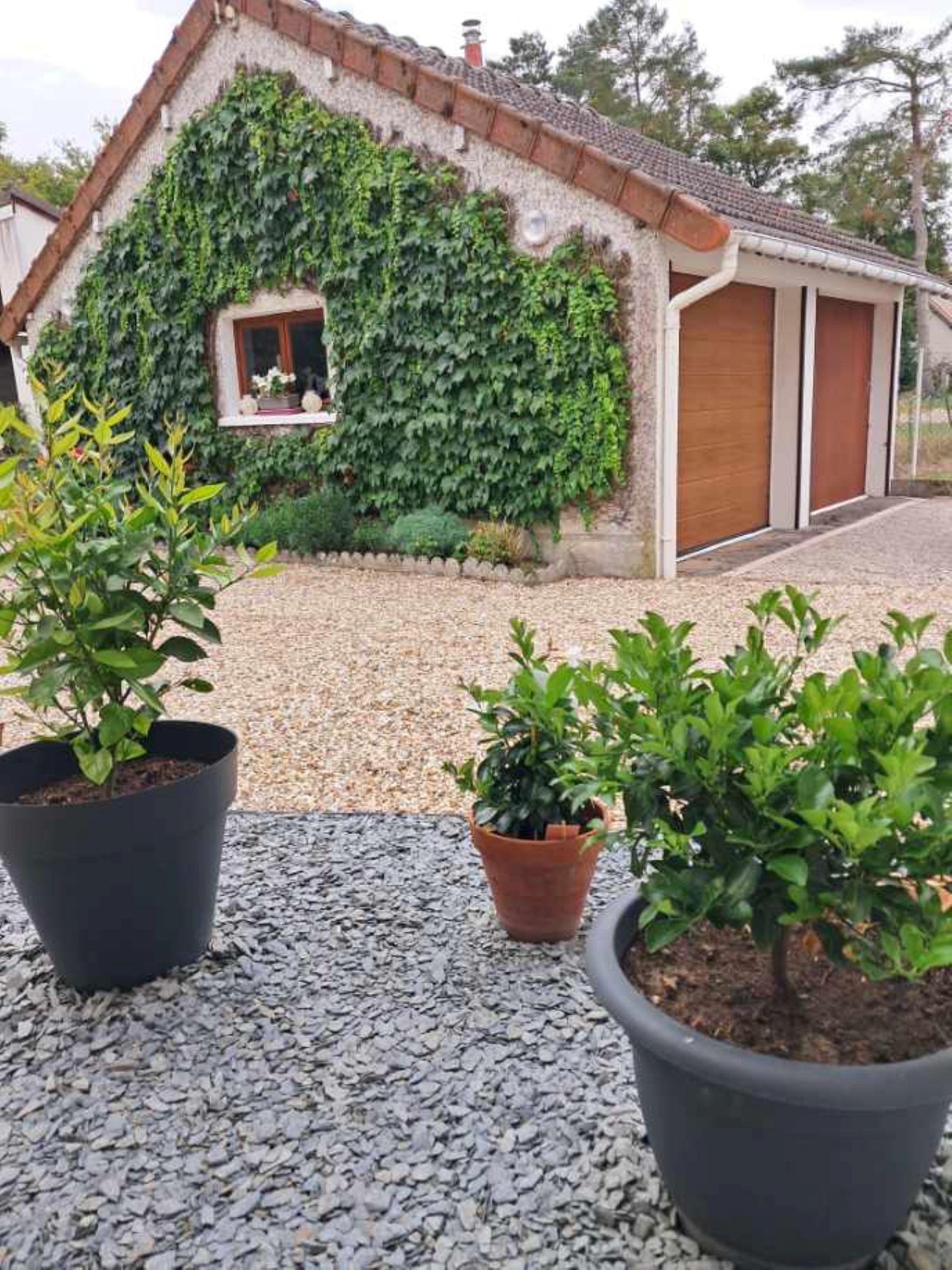Photo n° 15 de la location