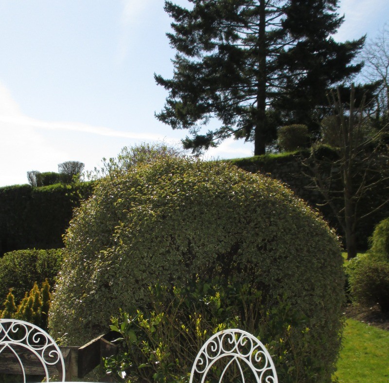 Votre salon de jardin en extérieur sur la terrasse