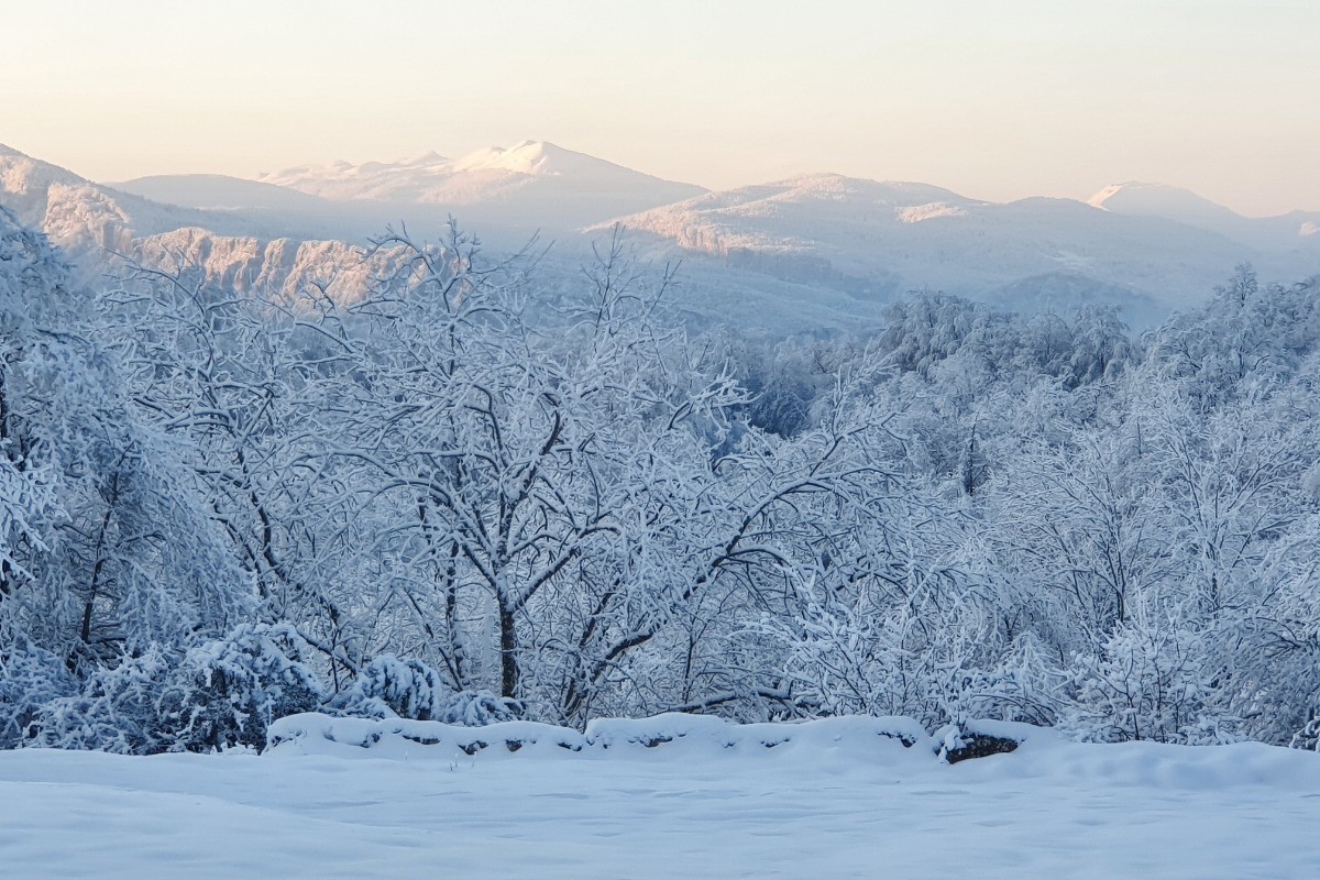 Vue de la chambre l'hiver
