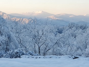 Vue de la chambre l'hiver