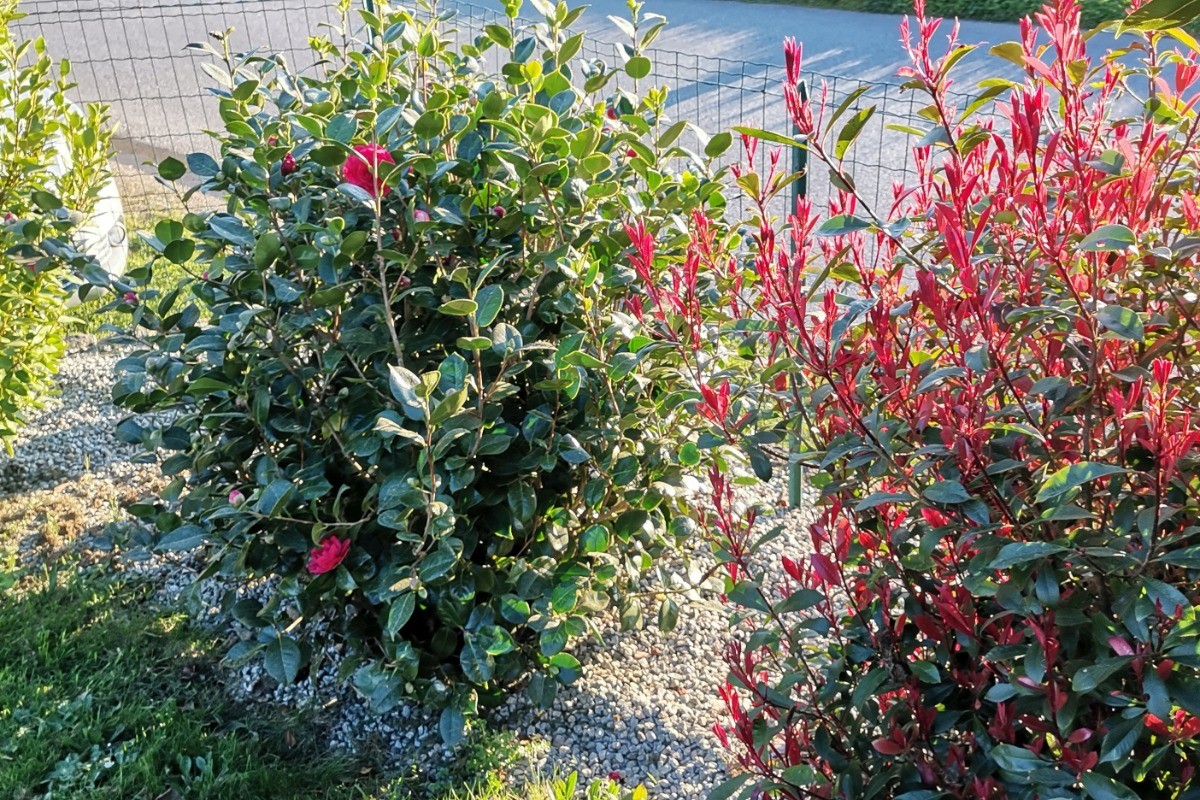 Photo n° 13 de la location