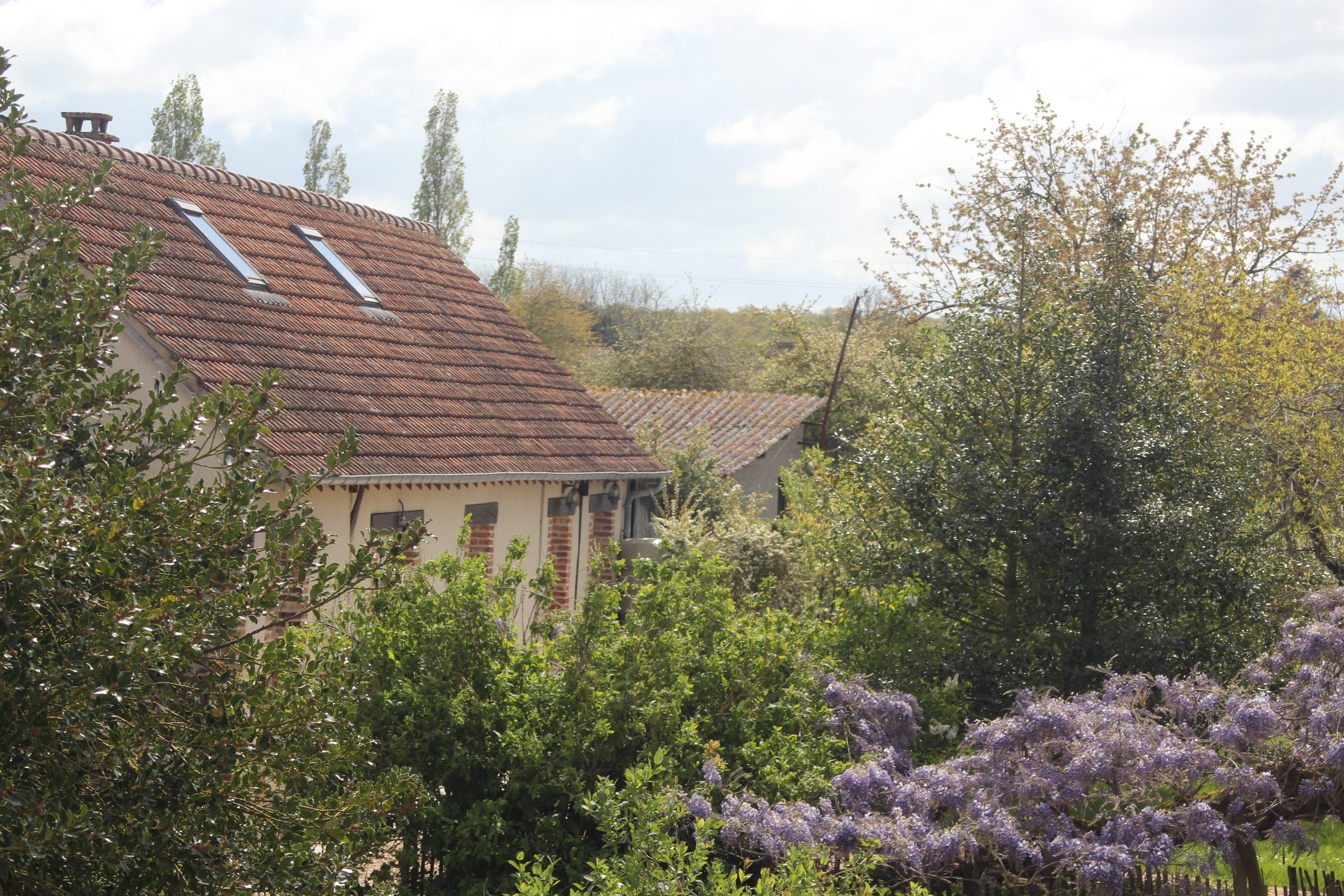 Photo n° 17 of the location