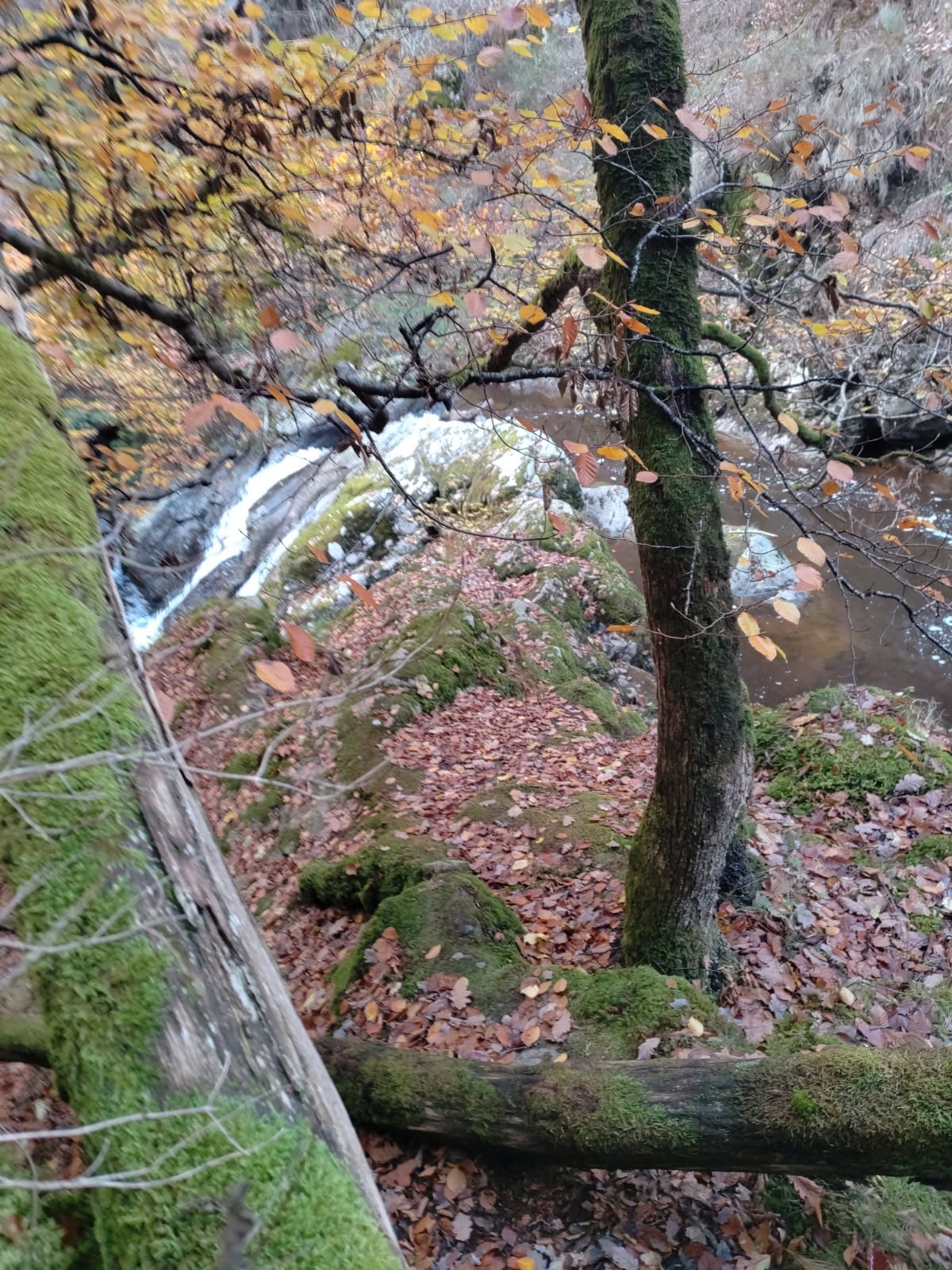 Photo n° 10 of the location