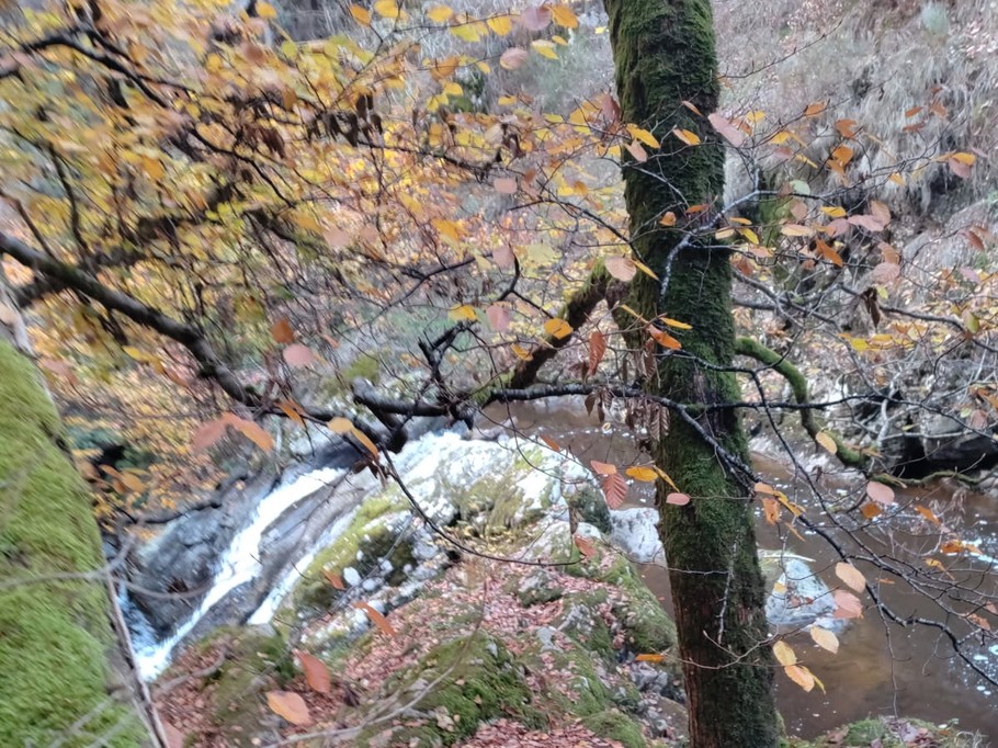 Photo n° 10 of the location