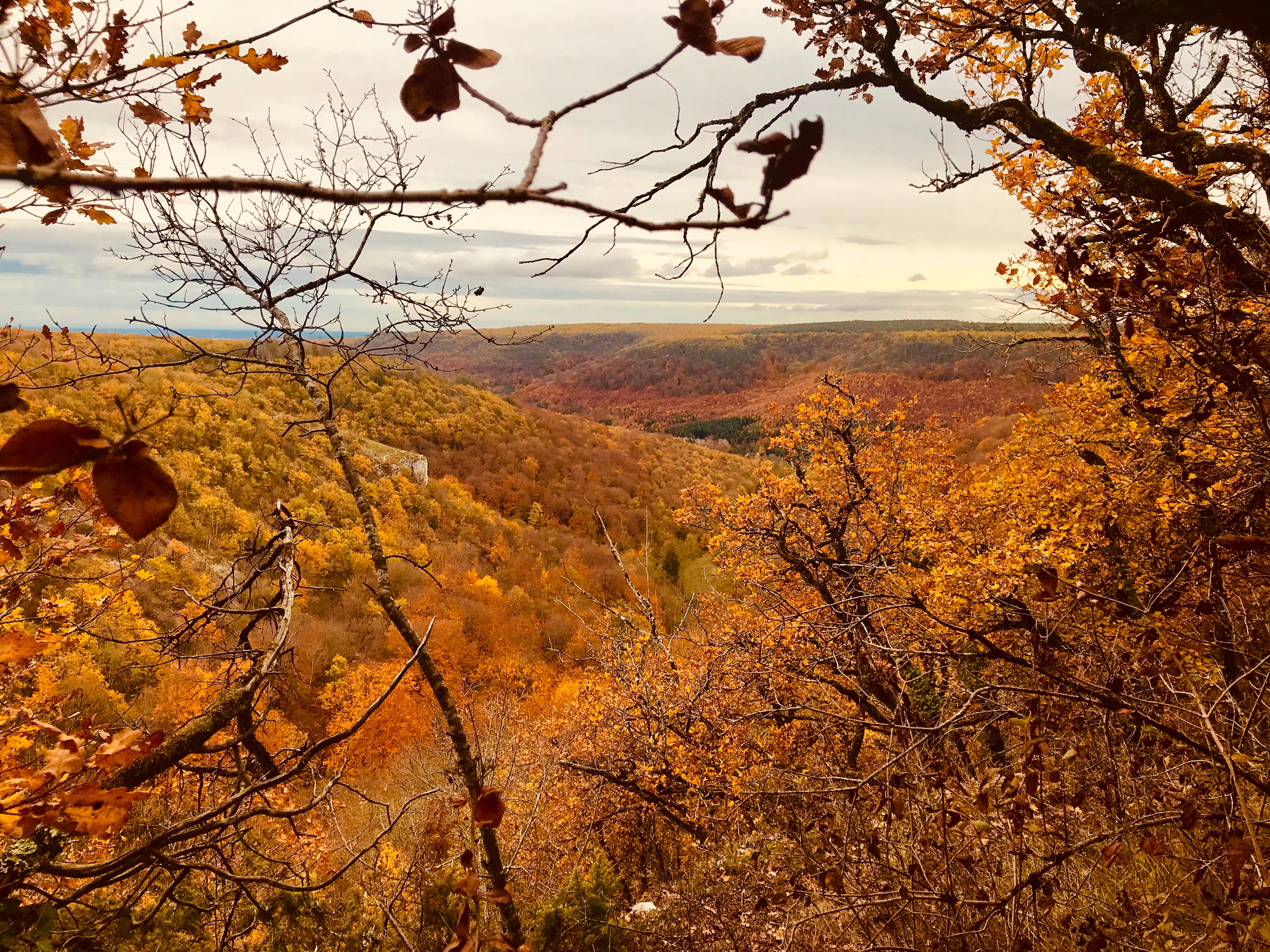 Photo n° 12 of the location