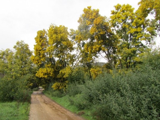 Photo n° 19 de la location