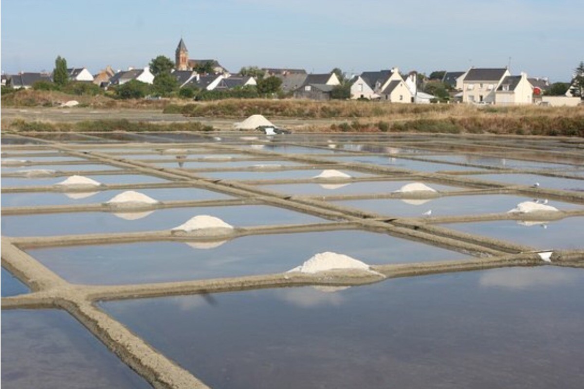 Les marais salants