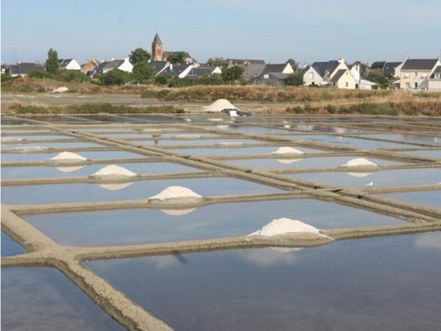 Les marais salants