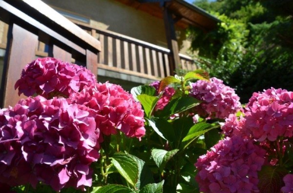 balcon