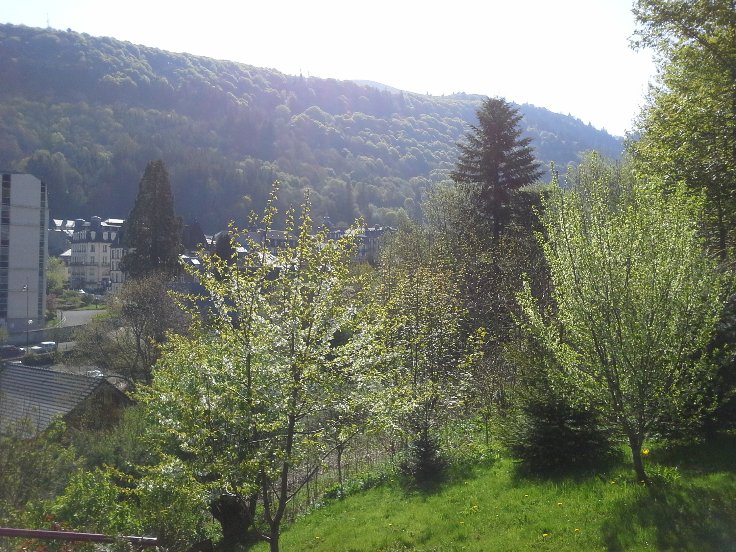 Photo n° 22 de la location