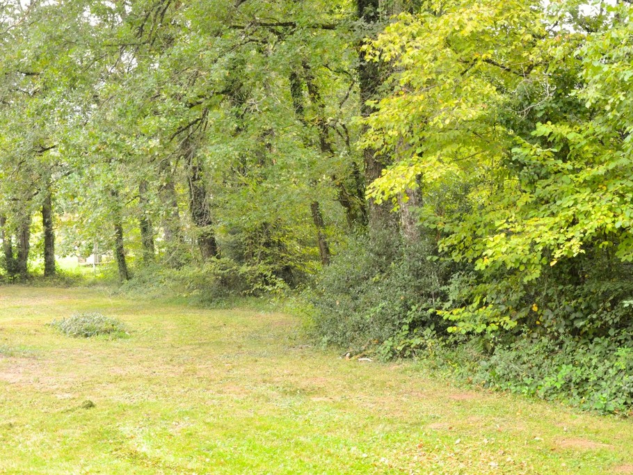 Photo n° 3 de la location