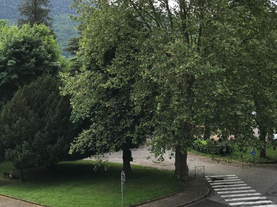 vue sur parc du Casino