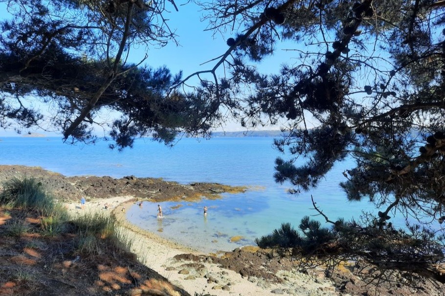 Photo n° 12 de la location