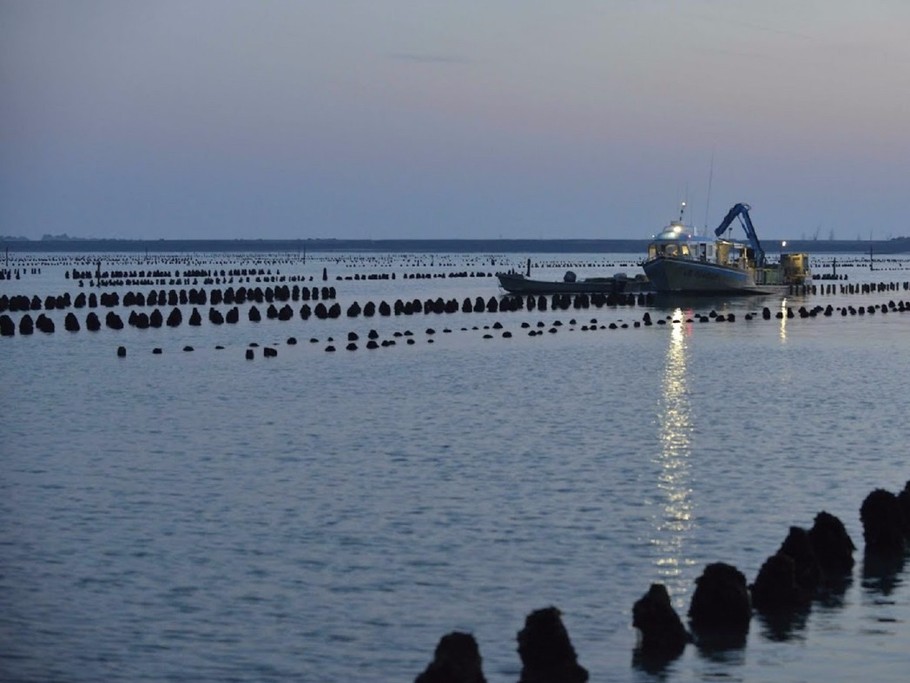 La baie de L'Aiguillon-sur-mer