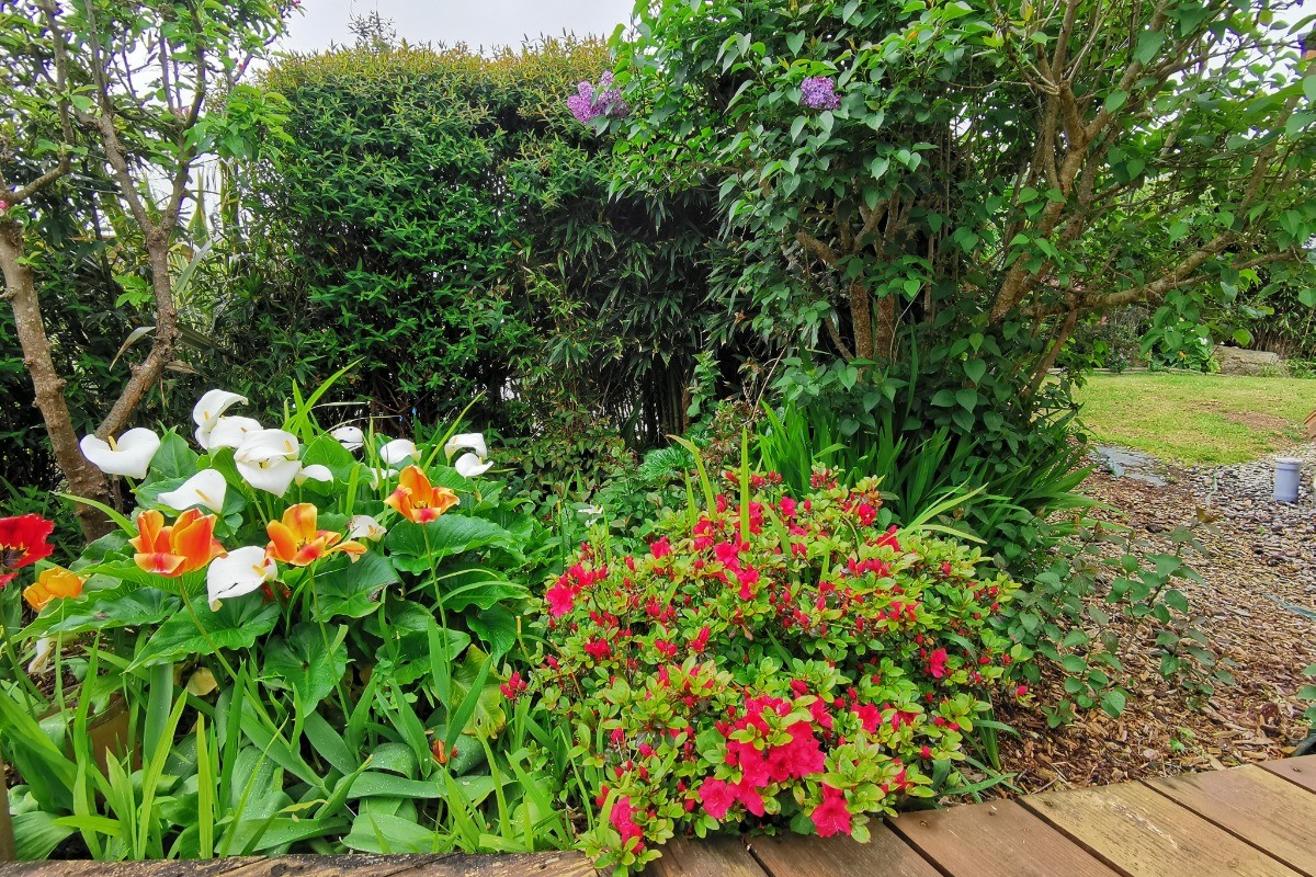 Extérieur de la location