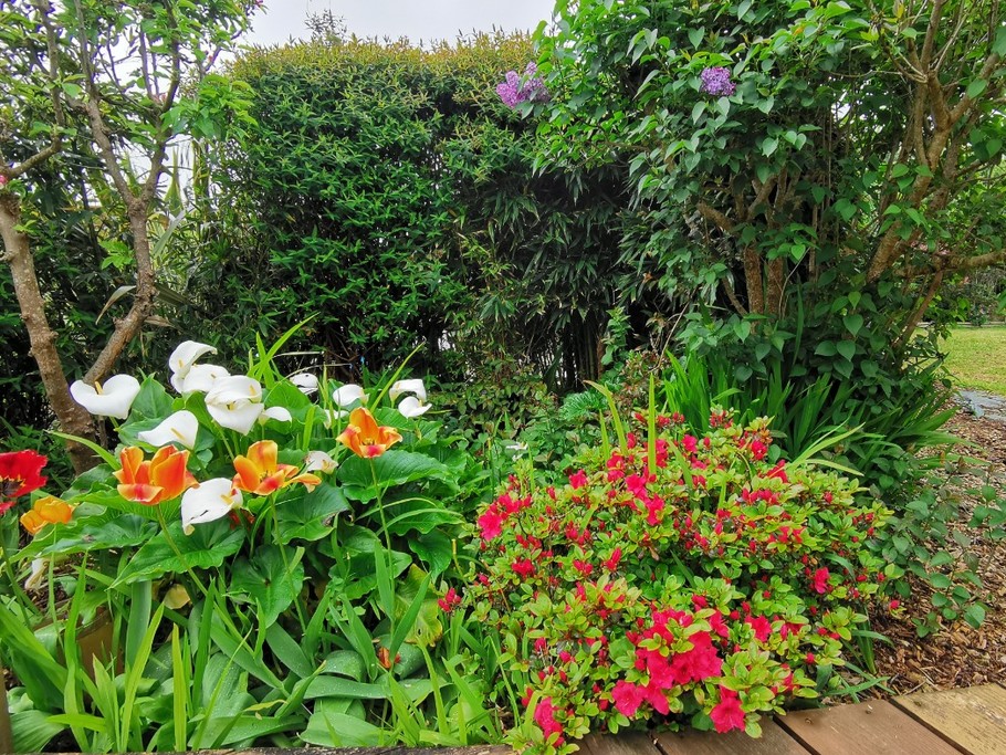 Extérieur de la location